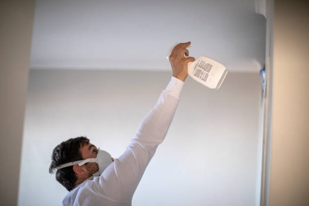 Office Mold Removal Services in Somerville, TN